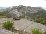 Porongurup national park